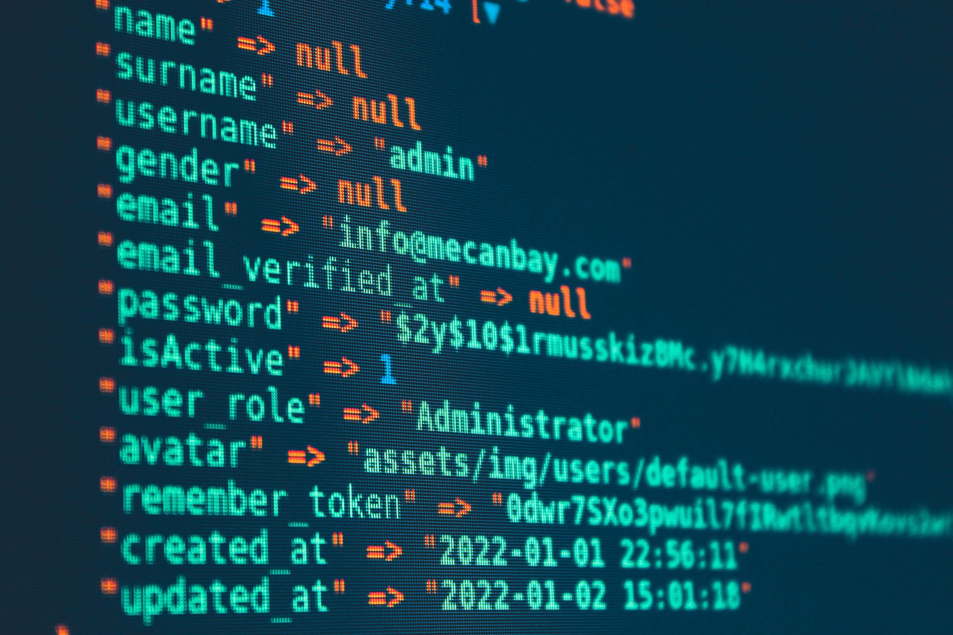 Custom Vector Search Vectorization